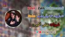 Zakir Zain Muhammadi New Pashto Nohay 2023-2024 | Pashto New Noha 2024 | New Pashto Nohay Album 2024