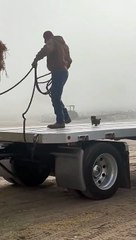 Gros routier, mais tout petit chien... Adorable