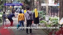 Begini Rupa Kambing Eropa, Satwa Baru Kebun Binatang Surabaya di Momen Libur Paskah