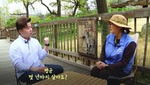 [다다를 인터뷰] 나, 세로 친구 캥거루 