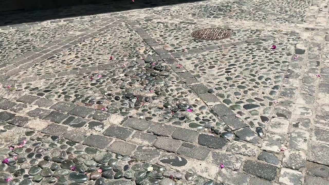 Vídeo florece