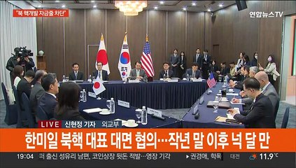 한미일 북핵대표 "북 해외노동자 송환해야…불법 자금줄 차단"