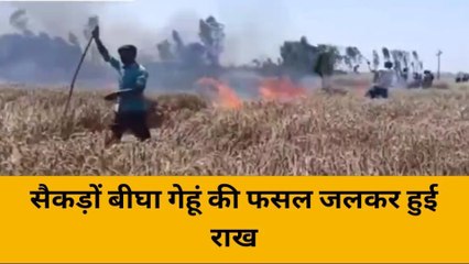 बदायूं : हाईटेंशन लाइन का तार टूटने से गेंहूँ की खड़ी फसल में लगी आग