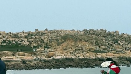 الصين ترسل سفنا حربية إضافية إلى محيط تايوان لليوم الثاني