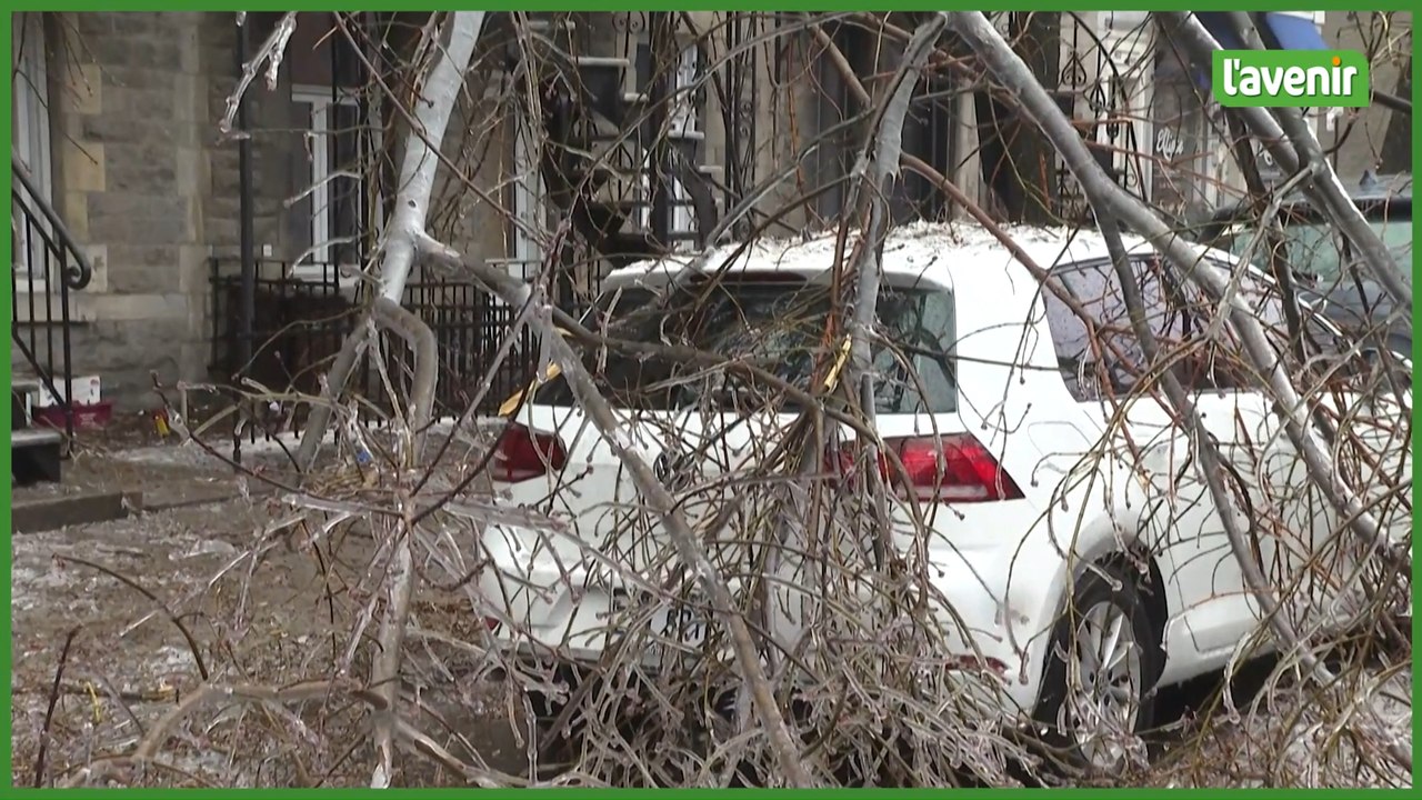 Tempête de verglas: Montréal figé sous la glace, importants dégâts matériels