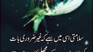 Beautiful aqwalezareen collection Golden words, best quotes,heart touching words,Urdu adab