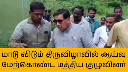 குடியாத்தம்: மாடு விடும் திருவிழாவை மத்திய குழுவினர் ஆய்வு!