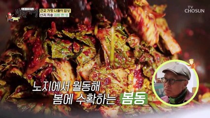 봄 내음 물씬 나는 입소문 난 연예인 맛집 TV CHOSUN 230407 방송