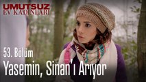 Yasemin, Sinan'ı arıyor - Umutsuz Ev Kadınları 53  Bölüm