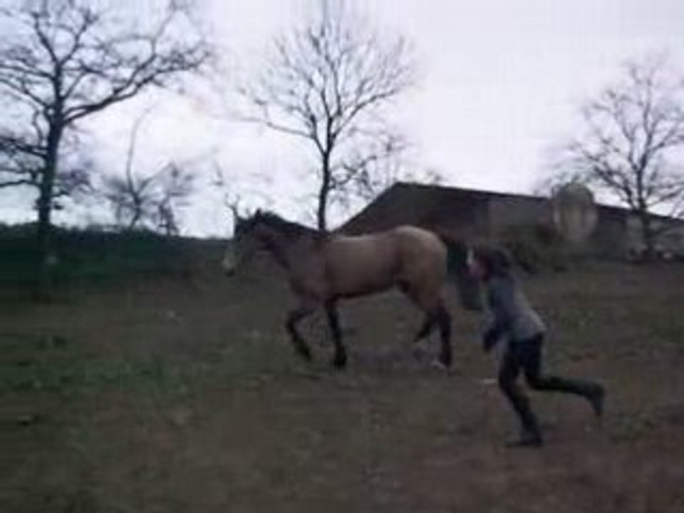 eccurie des pierres dorees