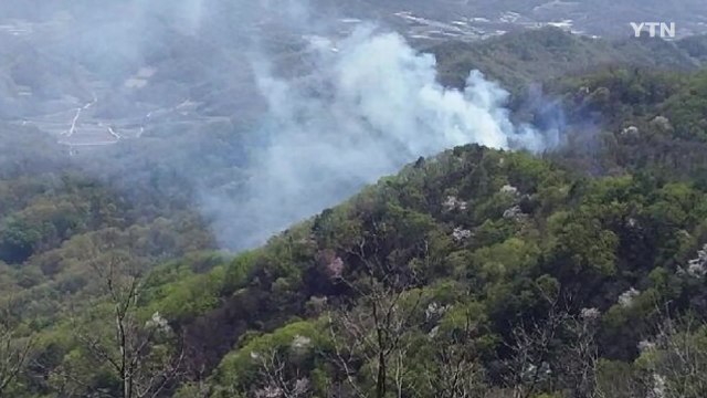 경북 김천 감문면 야산에 불...1시간 만에 진화 / YTN