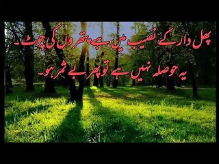 Aurat ke mard se char rishte hain aur paanchva dhokha hai