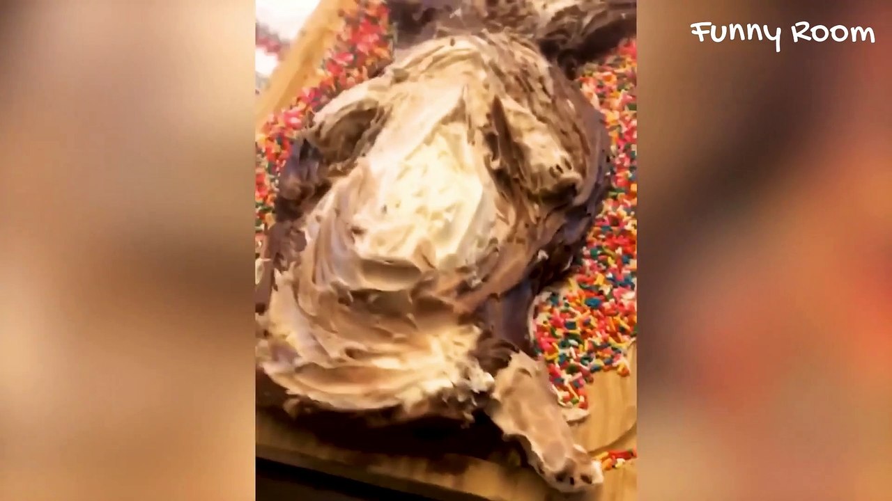 You feel stressed? Watch this guaranteed to be instantly happy