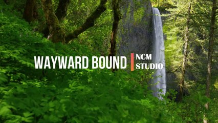 Wayward Bound - Brian Withycombe: Ambient Music, Sad Music, Revenge Music