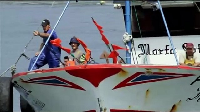 É o Amor Bande-annonce (EN)