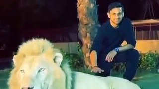Shoaib Malik Gets Flak for Petting a Chained Up Lion at Simba Kingdom