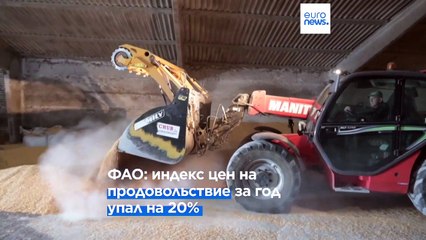 ФАО: мировые цены на продовольствие снижаются двенадцатый месяц подряд