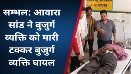 सम्भल: जिले में आवारा जानवरों का आतंक, बुजुर्ग का किया बुरा हाल