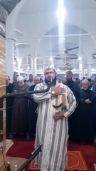 The cat enters the mosque jumps on the imam s shoulder