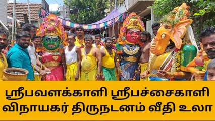 தஞ்சை:ஸ்ரீ ரேணுகாதேவி கோவில் திருவீதி உலா