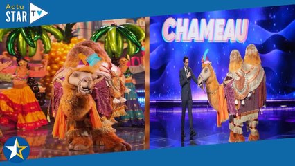 Mask Singer saison 5 : qui se cache derrière le Chameau ?