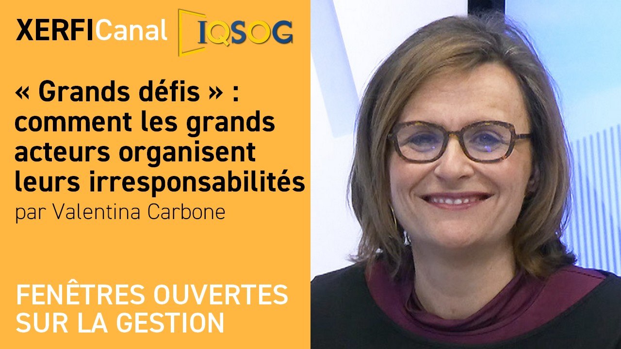 « Grands défis » : comment les grands acteurs organisent leurs irresponsabilités [Valentina Carbone]