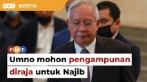 MKT Umno akan menghadap Agong, mohon pertimbang ampun Najib