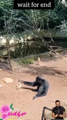 Tranding shorts on youtube-Tranding shorts video- tranding shorts channel#tranding #viral #shorts 07 (4)