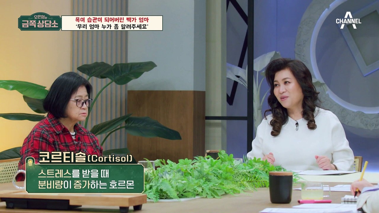 [#금쪽상담소] 한 시간마다 수십 번씩 욕하는 빽가 엄마! 욕하는 습관은 개선할 수...