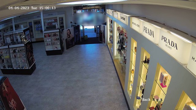 Have-a-go-hero businesswoman tackles thieves as they steal expensive perfume from her posh boutique