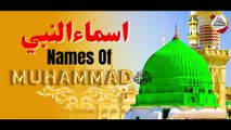 Asma Ul Nabi  | 99 Names of Muhammad PBUH | 99 Names of Prophet Muhammad SAW  | Hasbi Allah