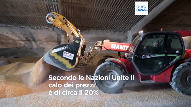 FAO, calano ancora i prezzi globali degli alimentari. Merito dell'accordo sul grano
