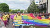 Ungheria, 15 Paesi Ue sostengono l'azione contro la legge anti-LGBT