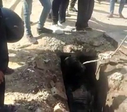 फिर खुले नाले में गिरा गोधा