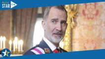 Felipe VI sans Letizia d’Espagne : ce petit séjour privé ébruité