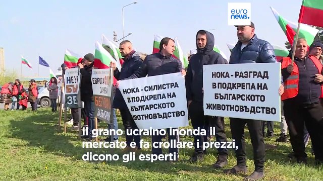 Romania, gli agricoltori protestano per le importazioni di grano ucraino esenti da dazi