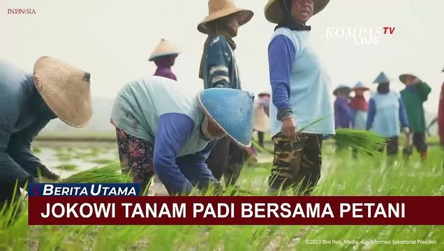 Tanam Padi Bersama Petani di Tuban, Jokowi: Pupuk Organik Buat Petani Hemat Jutaan Rupiah