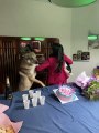 I Don't Know How the Cake Survived