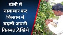 पिलानी:खेती में नावाचार कर किसान ने बदली किस्मत