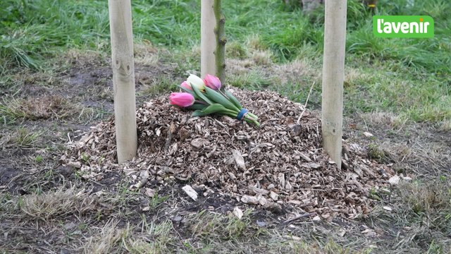 Flawinne: un arbre en hommage à Sarah Balthazart à l'école Sainte-Marie