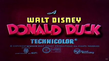 Donald duck funny cartoon| Donald duck enjoy classic.