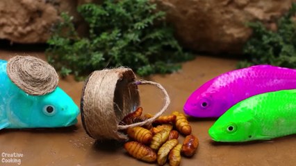 Stop Motion 무지개 문어 Mukbang, 다채로운 계란 - 다채로운 잉어물고기, 거대한 악어 - 무지개 메기_ 스톱 모션 요리