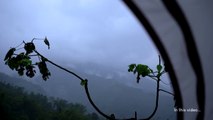 Camping in Heavy Rain & Relaxing Sound of Rain on Tent Roof