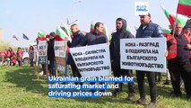Romanian and Bulgarian farmers angry at Ukrainian agricultural imports