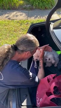 Dad Gets Emotional When Surprised With Two New Puppies