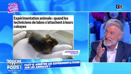 Faut-il arrêter les expérimentations sur les animaux ?