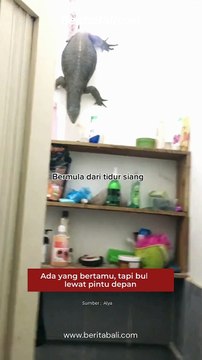 Ada yang bertamu, tapi engga lewat pintu, Kira-kira kalau Semeton ada disana apa yang kalian lakuin?