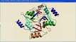 4.Factors affecting enzyme activity