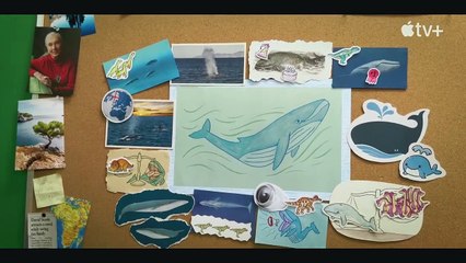 Jane — 11 Fun Facts About Blue Whales   Apple TV+