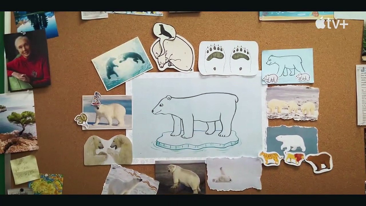 Jane — 11 Fun Facts About Polar Bears   Apple TV+
